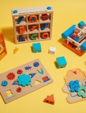 Are Expensive STEM Toys Worth It? Budget vs Premium Comparison